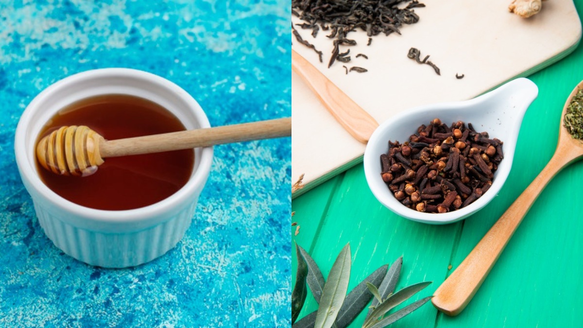 खांसी से छुटकारा पाना चाहते हैं तो भुनी हुई लौंग और शहद का ऐसे करें सेवन,  पुरानी खांसी भी हो जाएगी दूर - Clove and Honey Tips how to get rid from